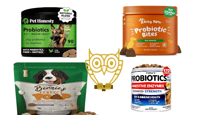 10 of best probiotic for dogs