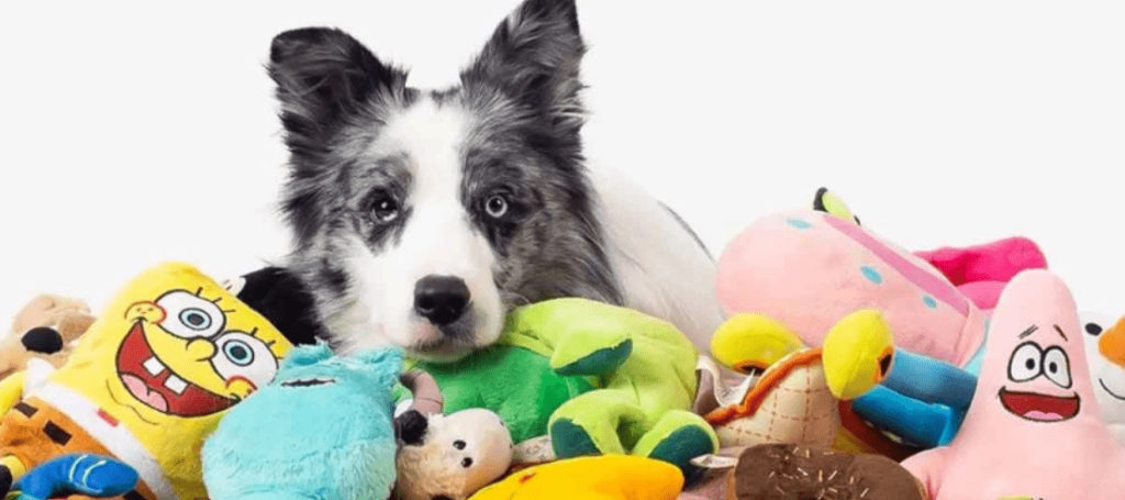 Features of Safe Toys for Puppies