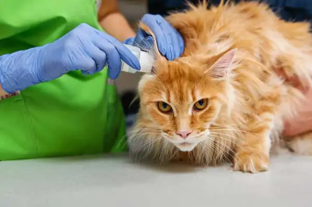 Cleaner for Dogs & Cats Ears