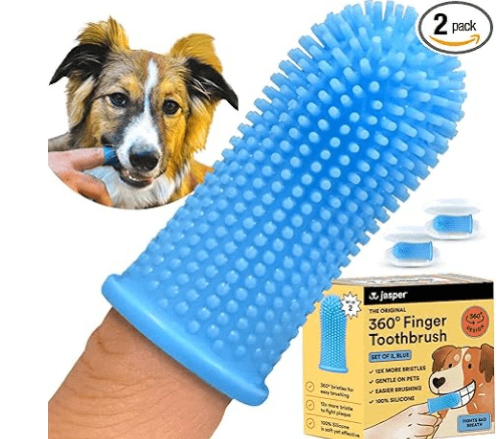 Jasper Dog Toothbrush