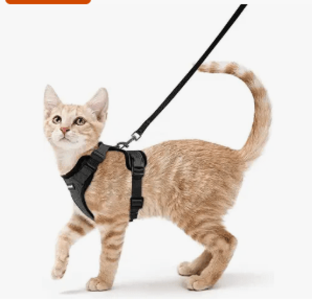 rabbitgoo Cat Harness and Leash for Walking