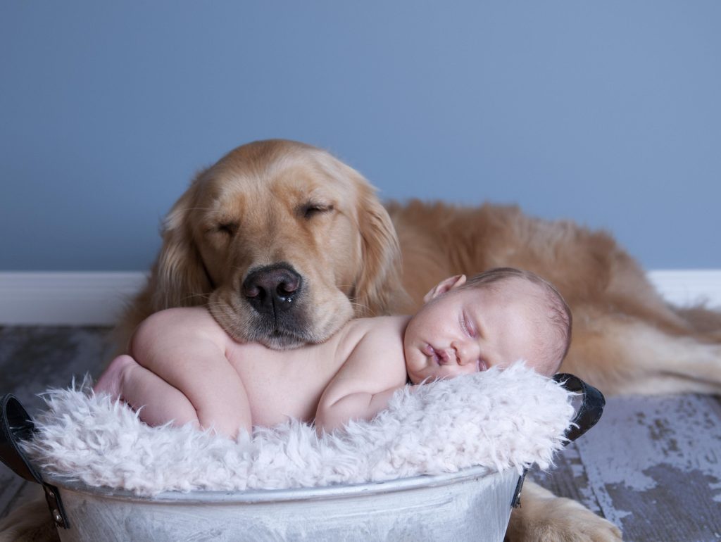 The effects of keeping pets on children