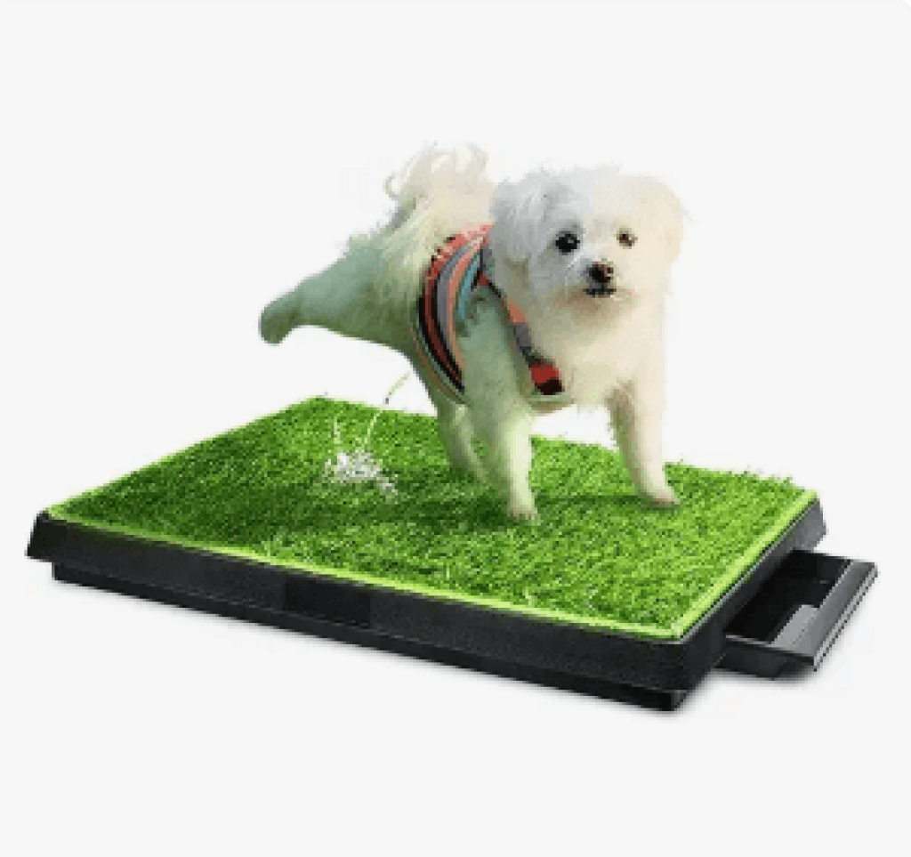 Hompet Dog Toilet Indoor Puppy Training Pad, Dog Potty Pet Training Grass