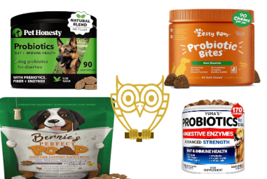 10 of best probiotic for dogs