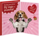 Big Hugs and smooches