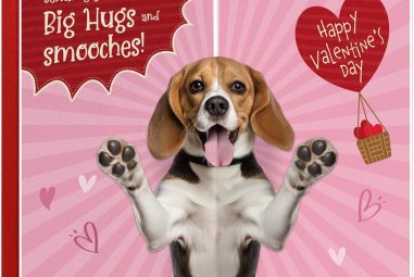 Big Hugs and smooches