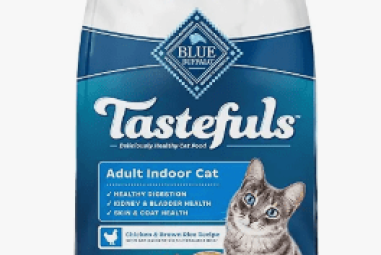 Benefits of Using Dry Food for Dogs and Cats