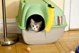 Cat litter accessories