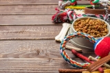 Pet Supplies : The Best Tools and Supplies